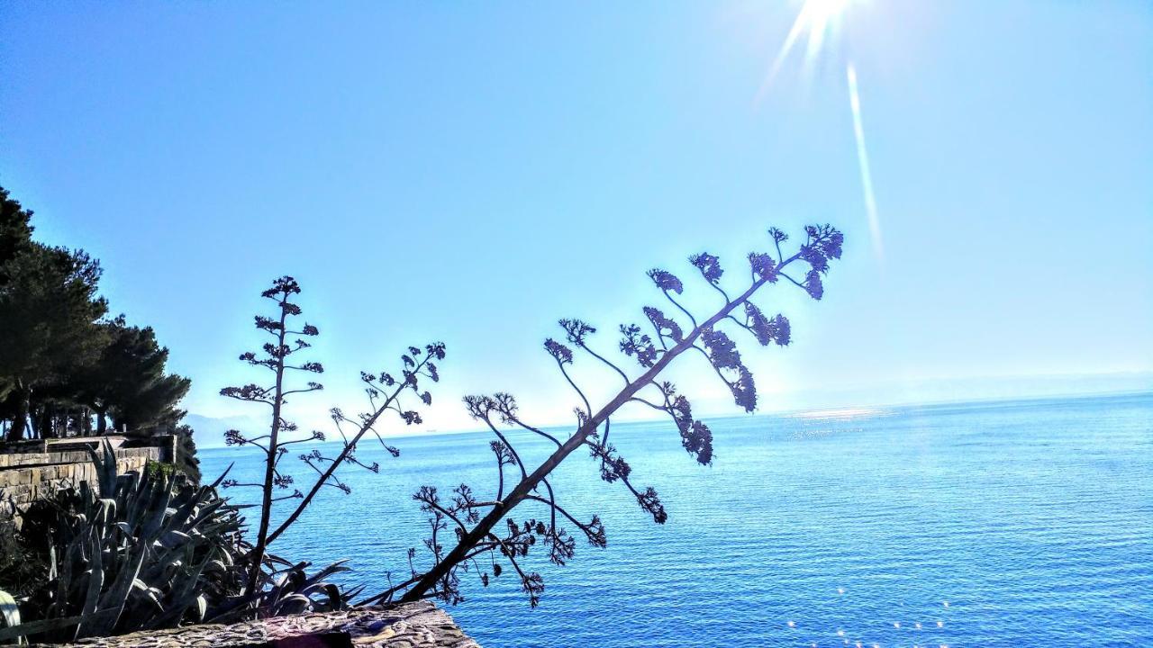 Apartment Deluxe Sea View Split Dış mekan fotoğraf